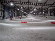 Vista sulla lunga pista