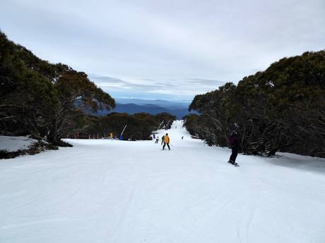 Offerta di piste Victoria – Offerta di piste Mt. Buller