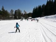 Sciovia B separata presso Aleko (non inclusa nello skipass normale)