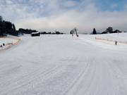 Discesa Buckelwiesen