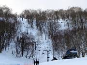 West Tiger Pair Lift - 2pers.| Seggiovia ad agganciamento fisso