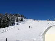 Prato per esercitazioni Nassfeld