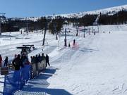 Kortknappen - Skilift a piattello