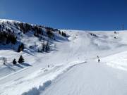 Vista sulle piste n. 11 Prisco e n. 8 Monte Rosso