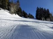 Pista facile Seehof