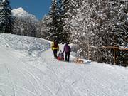 Suggerimento per i più piccoli 