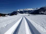 Pista da fondo in Fiss