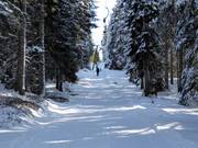 Skilift Vigil I (Seehof) - Skilift a piattello