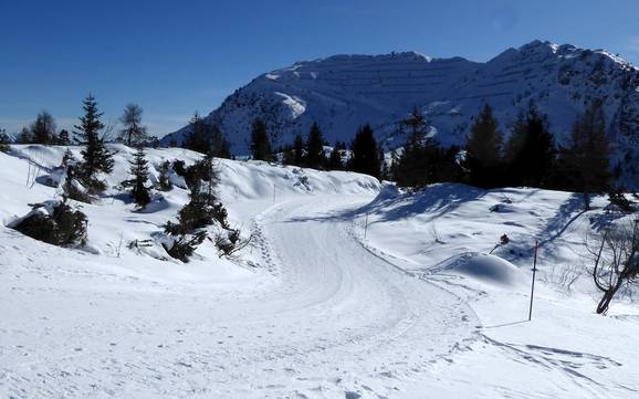 Sci di fondo Prealpi Carniche – Sci di fondo Zoncolan - Ravascletto/Sutrio