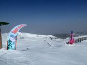 Suggerimento per i più piccoli 