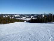 Pista intermedia n. 15