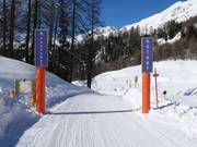 Slittino fino a Ftan