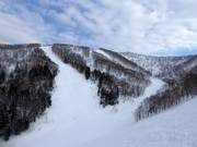 Vista sulle piste Isola A e Isola B