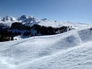 Area sciistica libera al Laucherenstöckli