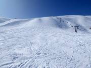 Area freeride al Männlichen