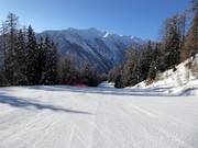 Discesa a valle Tarlenta