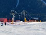 Larici - Skilift a piattello