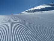 Anche nei dettagli molto bello