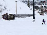 Mule Train - Tapis roulant/Tappeto Magico con galleria