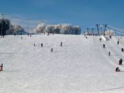 Pista facile e larga