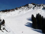 Ampia pista al Walmendingerhorn