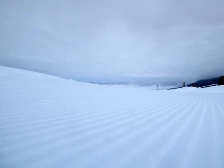 Preparazione delle piste Wyoming – Preparazione delle piste Snow King Mountain - Jackson