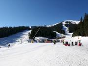 Intorno a Shiligarnika