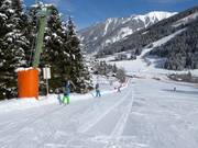 Tellerblitz - Skilift a piattello