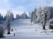 Pista Sjezdovka lišáka Foxe