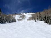 Pista ripida presso la seggiovia Lady Morgan Express