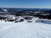 Pista difficile n. 1