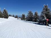 Pista di collegamento n. 12 Gobelja