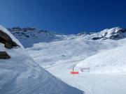 Infinite discese di neve fresca a Zinal