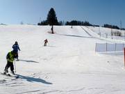 Pista facile a Kaniówka