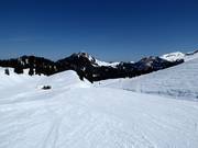 Pista facile Nätschboden