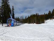 Suggerimento per i più piccoli 