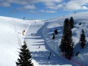 Parte superiore della pista Pioverna n. 25