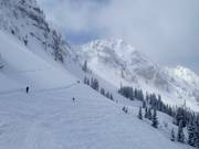 Pendii di neve fresca nel Honeycomb Canyon