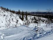 Area sciistica libera/fuoripista