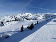 Vista dalla pista S. Antonio verso Cima Paganella