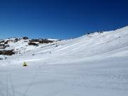 Vista sulle piste nell'area Central Spur