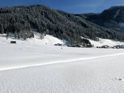 Sci di fondo nel paesaggio invernale di Gosau