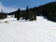 Discese a valle Haywood e Schoolmarm