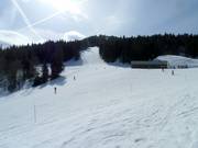 Fine della pista standard FIS-Kohlerhang