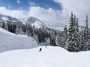 Pista presso la seggiovia Crest 6