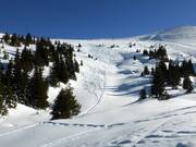 Tracce nella neve fresca al Gamserrugg