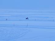 Titlis SnowXpark Trübsee con guida di motoslitte