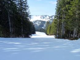 Balderschwang - Hochschelpen/Riedberger Horn