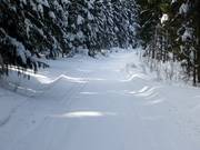 Nella zona boschiva di Altglashütten si estendono alcune piste da sci di fondo.