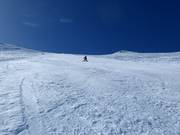 Estremamente ripido: Platter Splatter